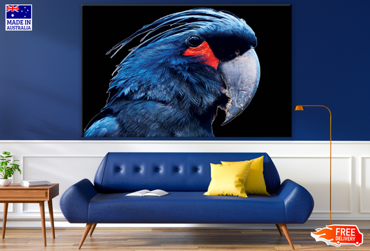 Blue Cockatoo Parrot Portrait Photograph Print 100% Australian Made