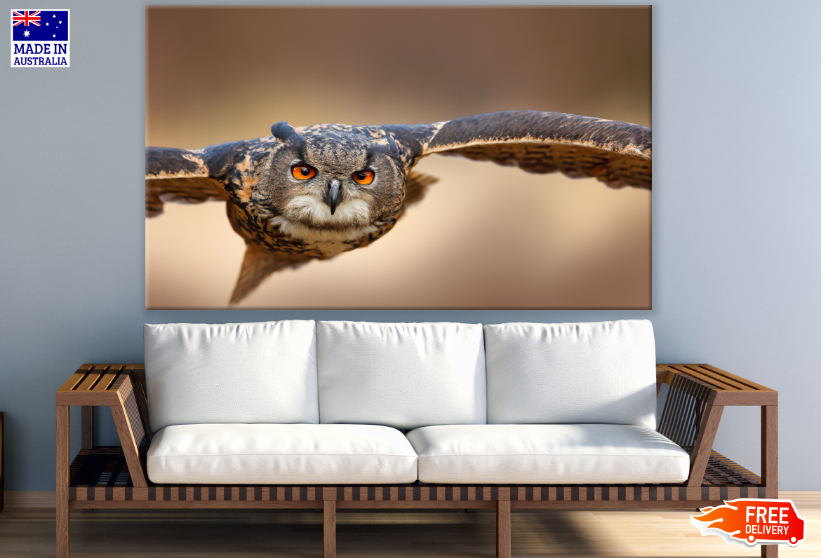 Flying Owl Orange Eyes Photograph Print 100% Australian Made