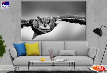 Flying Owl B&W Photograph Print 100% Australian Made