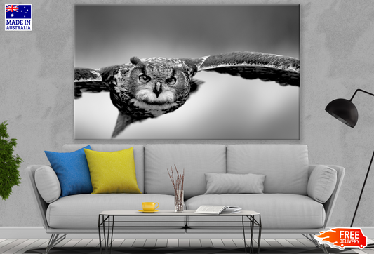 Flying Owl B&W Photograph Print 100% Australian Made