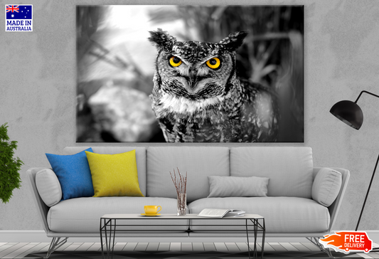 Owl Yellow Eyes Photograph Print 100% Australian Made