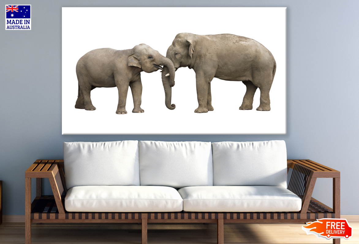 Two Elephants Photograph Print 100% Australian Made