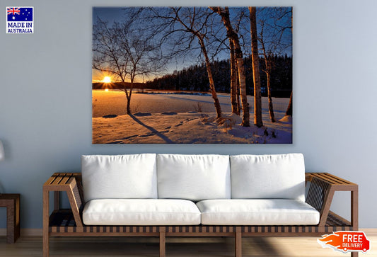 Cold Nature Trees Sunset Photograph Print 100% Australian Made