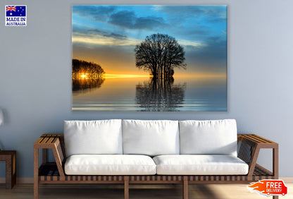 Ravishing Tree on Sea Sunset Photograph Print 100% Australian Made