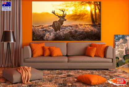 Deer in Sunset Photograph Print 100% Australian Made