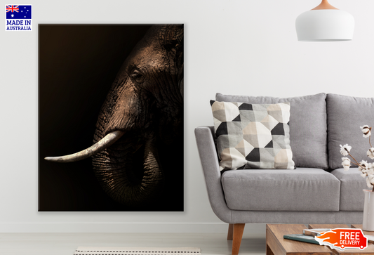 Elephant FAce Side View Photograph Print 100% Australian Made