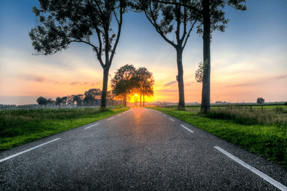 Road & Trees Sunset Photograph Print 100% Australian Made