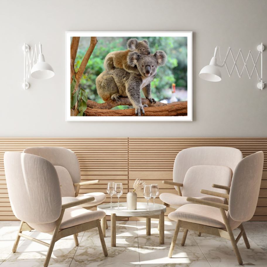 Koala Bear on Tree Photograph Home Decor Premium Quality Poster Print Choose Your Sizes