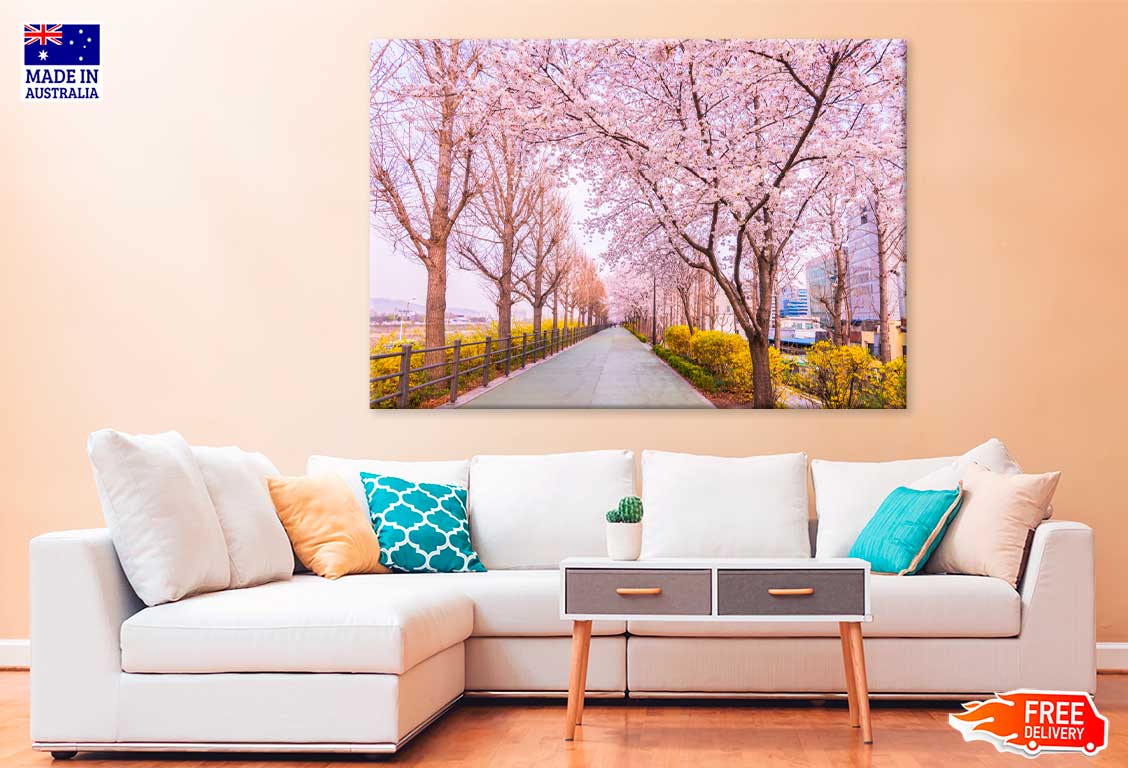 Pink Blossom Trees near Road View Photograph Print 100% Australian Made
