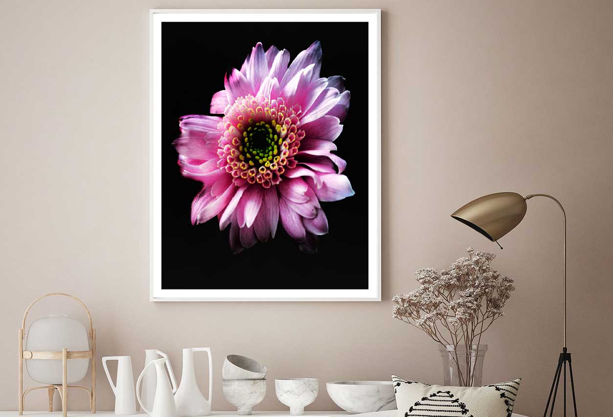 Pink Gerbera on Dark Closeup View Photograph Home Decor Premium Quality Poster Print Choose Your Sizes