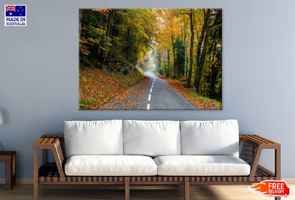 Autumn Trees Covered with Road Photograph Print 100% Australian Made