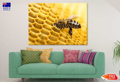 Bee Make Honey View Photograph Print 100% Australian Made