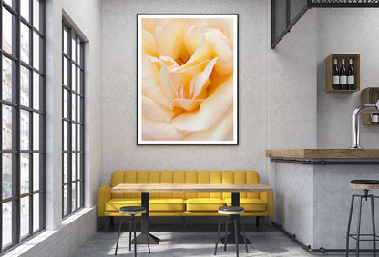 Peach Rose Closeup View Photograph Home Decor Premium Quality Poster Print Choose Your Sizes