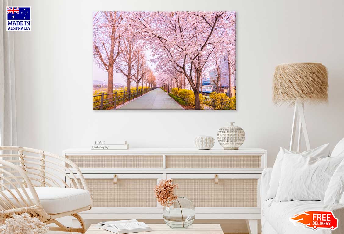 Pink Blossom Trees near Road View Photograph Print 100% Australian Made