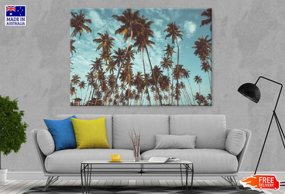 Coconut Palm Trees & Sky View Photograph Print 100% Australian Made