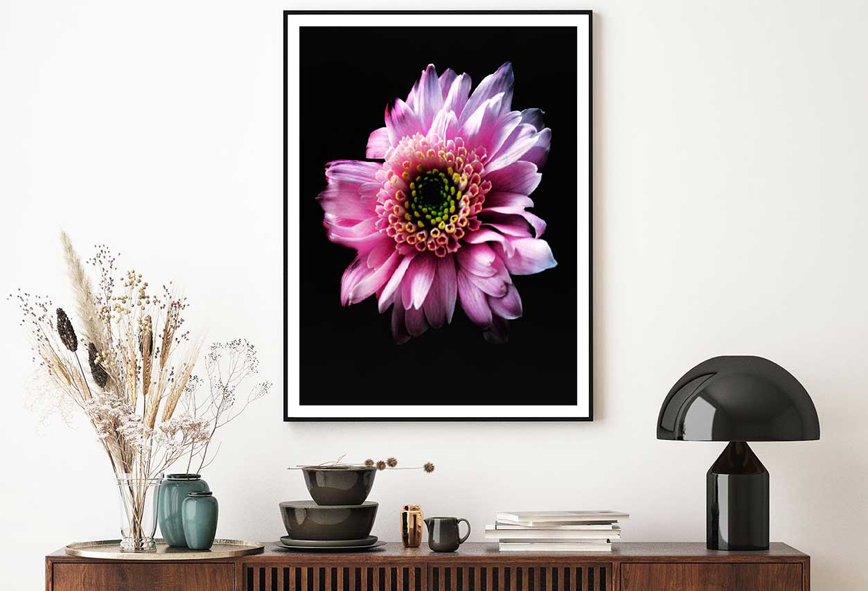 Pink Gerbera on Dark Closeup View Photograph Home Decor Premium Quality Poster Print Choose Your Sizes