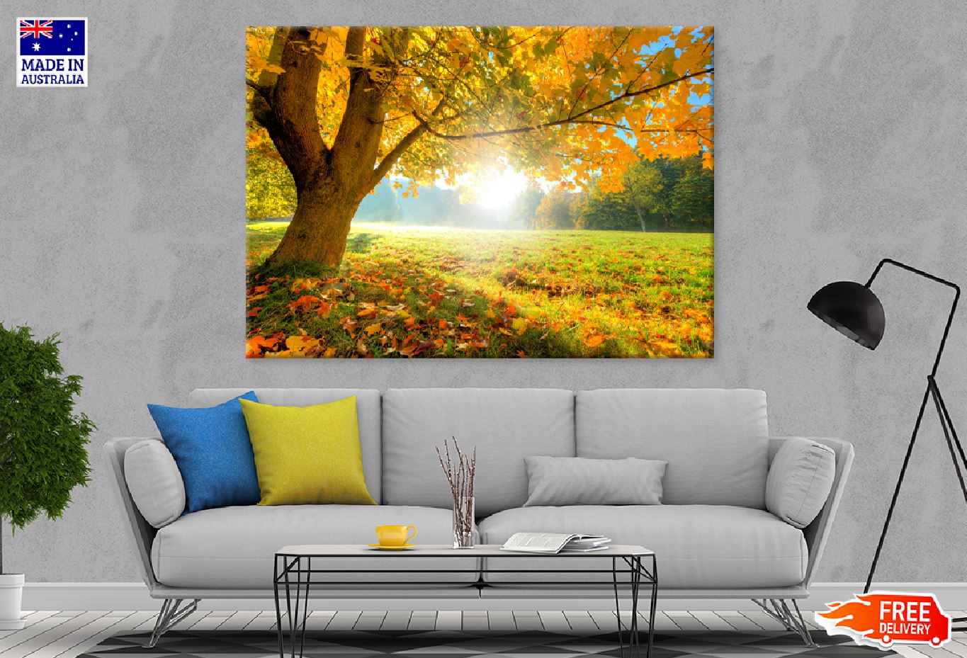 Autumn Tree with Sunshine Scenery Photograph Print 100% Australian Made