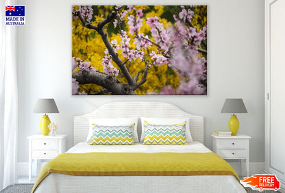 Cherry Blossom Tree Photograph Print 100% Australian Made