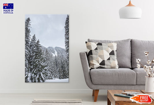 Snow Covered Pine Trees View Photograph Print 100% Australian Made