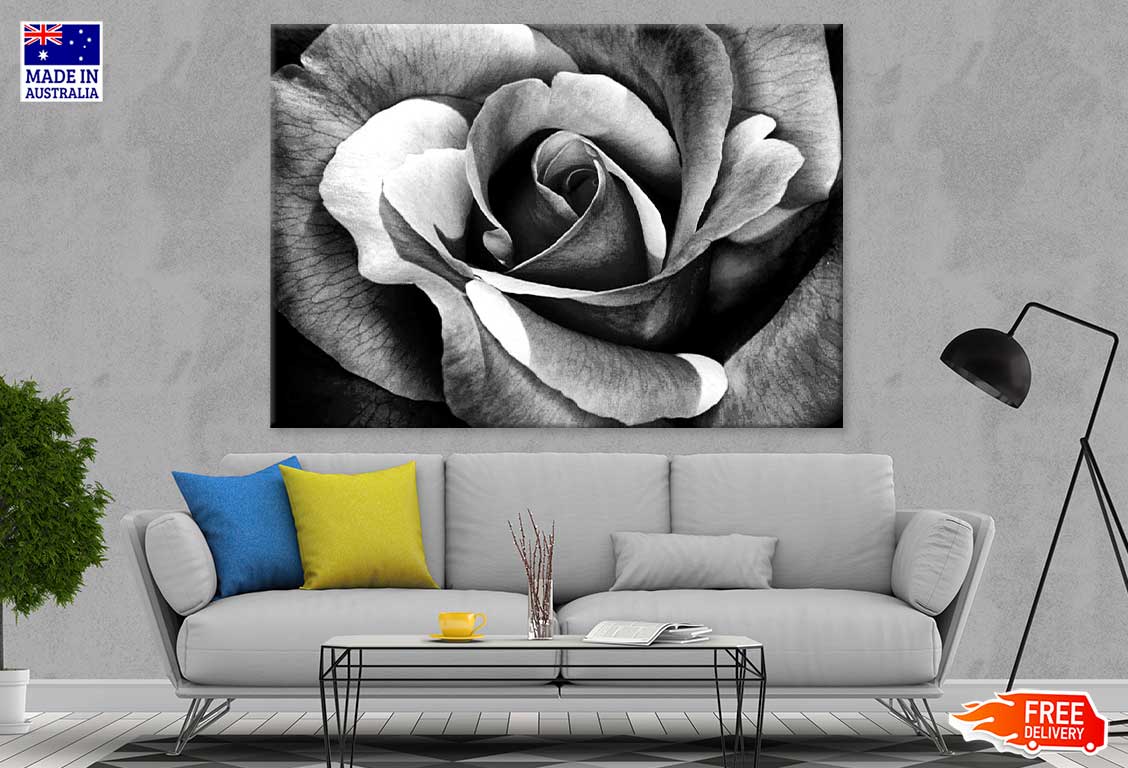 Rose Flower Petals B&W Photograph Print 100% Australian Made