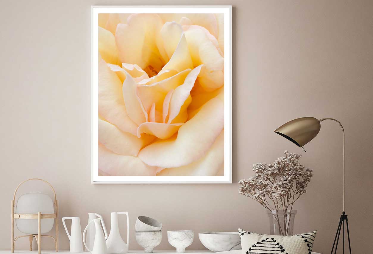 Peach Rose Closeup View Photograph Home Decor Premium Quality Poster Print Choose Your Sizes