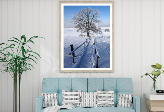 Old Tree in Meadow Winter Scenery Photograph Home Decor Premium Quality Poster Print Choose Your Sizes