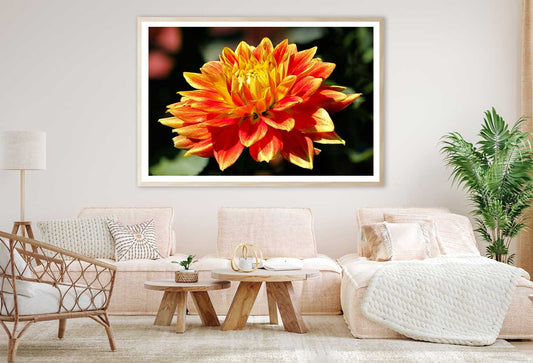 Yellow Orange Dahlia Flower View Photograph Home Decor Premium Quality Poster Print Choose Your Sizes