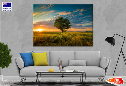 Tree Covered Grass Field Sunset Photograph Print 100% Australian Made