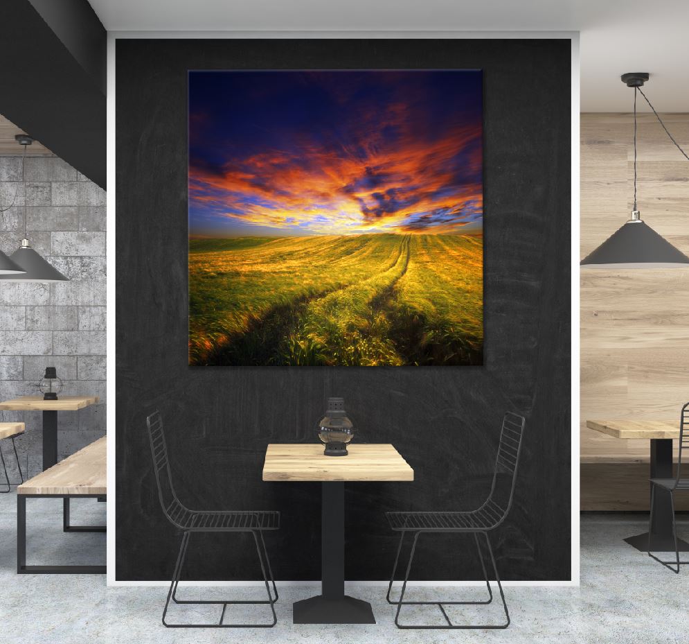 Square Canvas Wheat Field Landscape & Path View Photograph High Quality Print 100% Australian Made