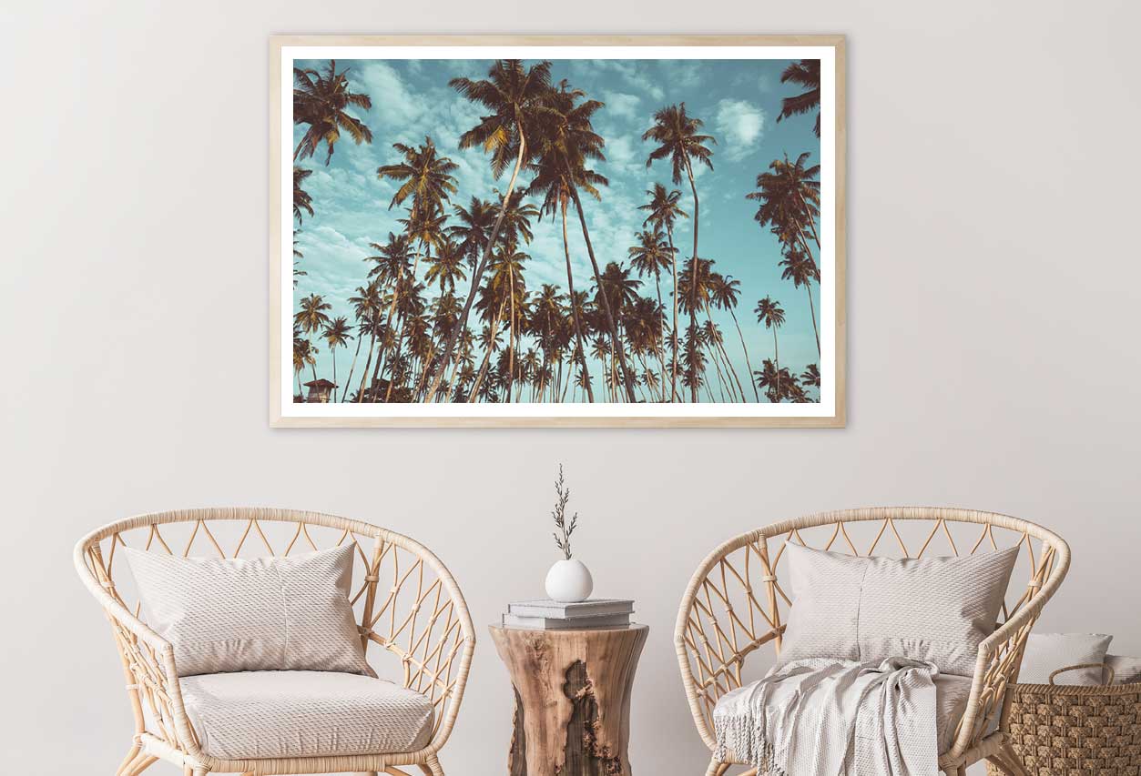 Coconut Palm Trees & Sky View Photograph Home Decor Premium Quality Poster Print Choose Your Sizes