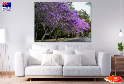 Blossom Trees & Sky View Photograph Print 100% Australian Made