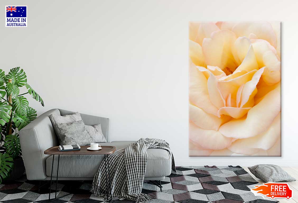 Peach Rose Closeup View Photograph Print 100% Australian Made