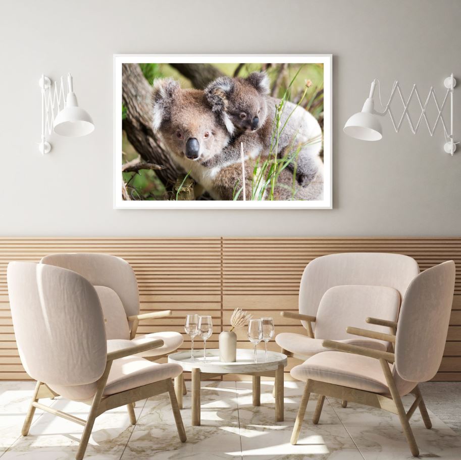 Koala Bears on Tree Photograph Home Decor Premium Quality Poster Print Choose Your Sizes