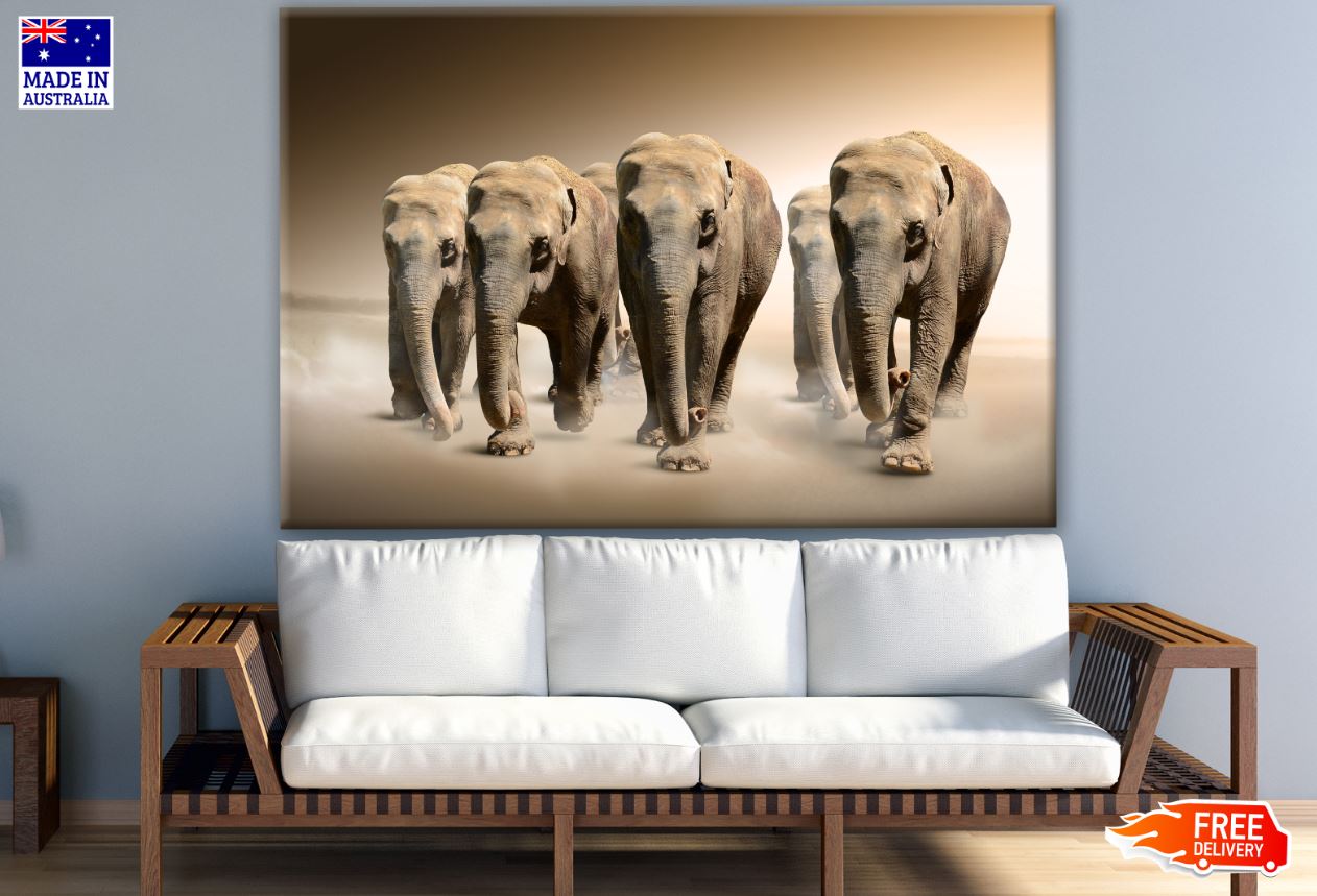 Walking Elephant Photograph Print 100% Australian Made