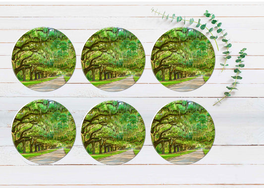 Tree Plantation Entrance in USA Coasters Wood & Rubber - Set of 6 Coasters