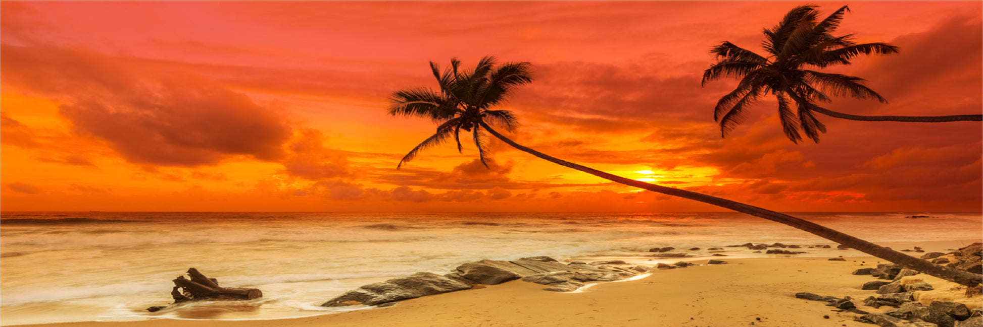 Panoramic Canvas Tropical Beach with Palm Trees at Sunset High Quality 100% Australian made wall Canvas Print ready to hang