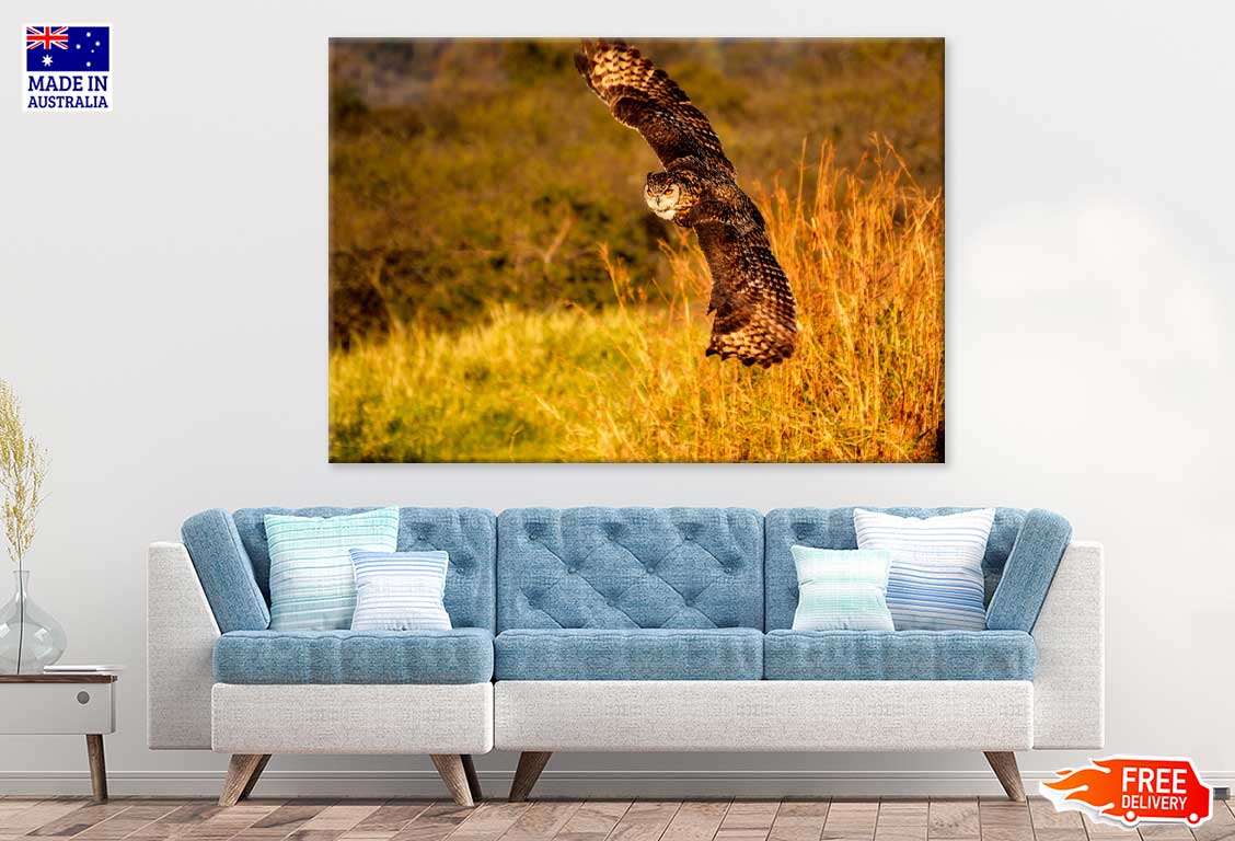 Flying Owl on Field Photograph Print 100% Australian Made