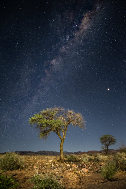 Tree on Milky Way Galaxy Scenery Photograph Print 100% Australian Made