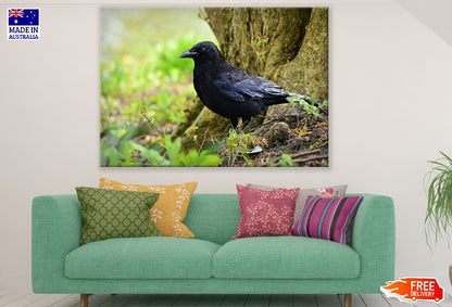 Crow Bird Closeup Photograph Print 100% Australian Made