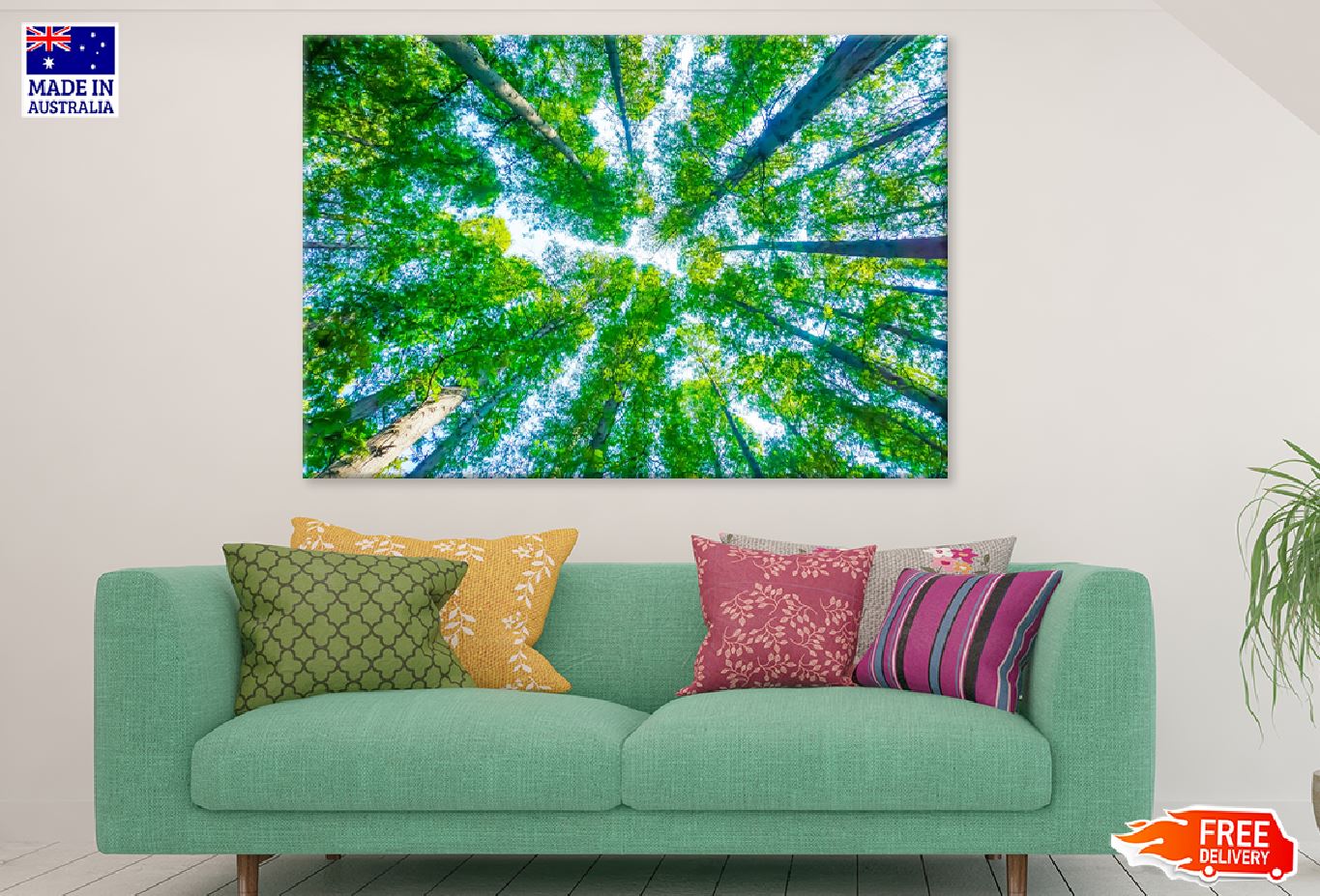 Green Tall Trees View From Below Photograph Print 100% Australian Made