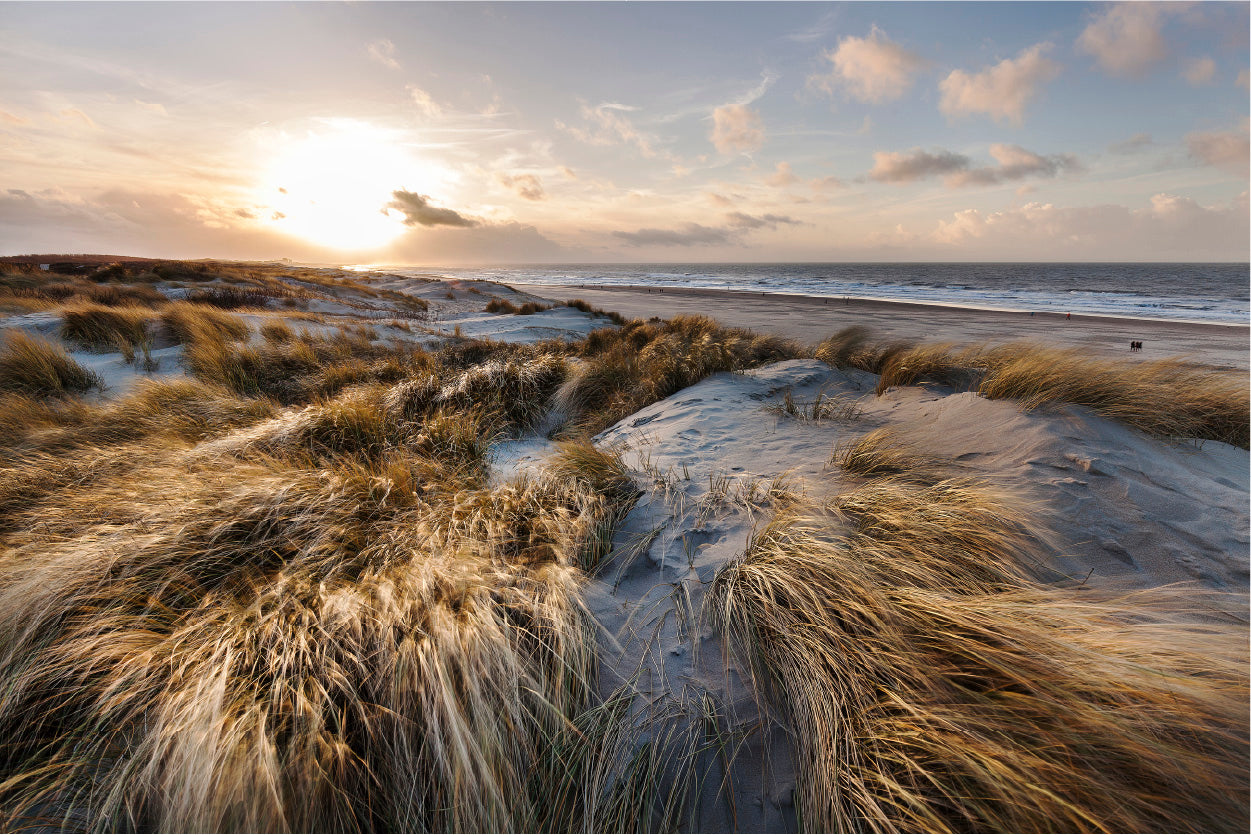 Bella Home Sand Dunes Sea With Sun Rise Print Canvas Ready to hang