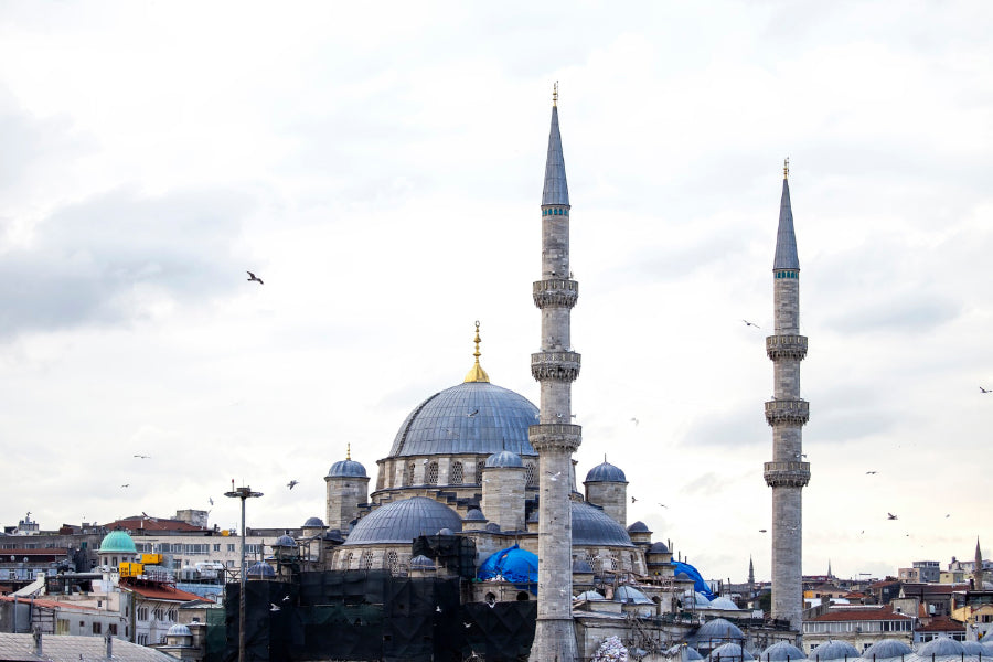 New Mosque Photograph in Istanbul Turkey Print 100% Australian Made