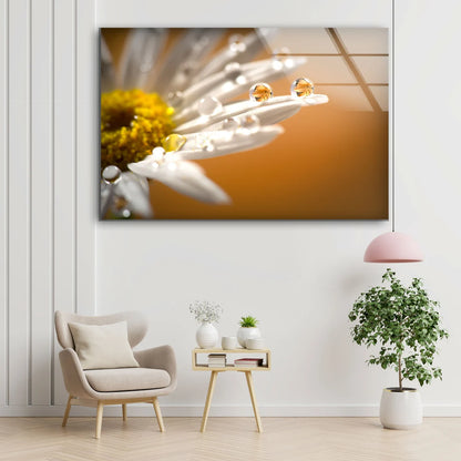 Waterdrops on White Flower Photograph Acrylic Glass Print Tempered Glass Wall Art 100% Made in Australia Ready to Hang