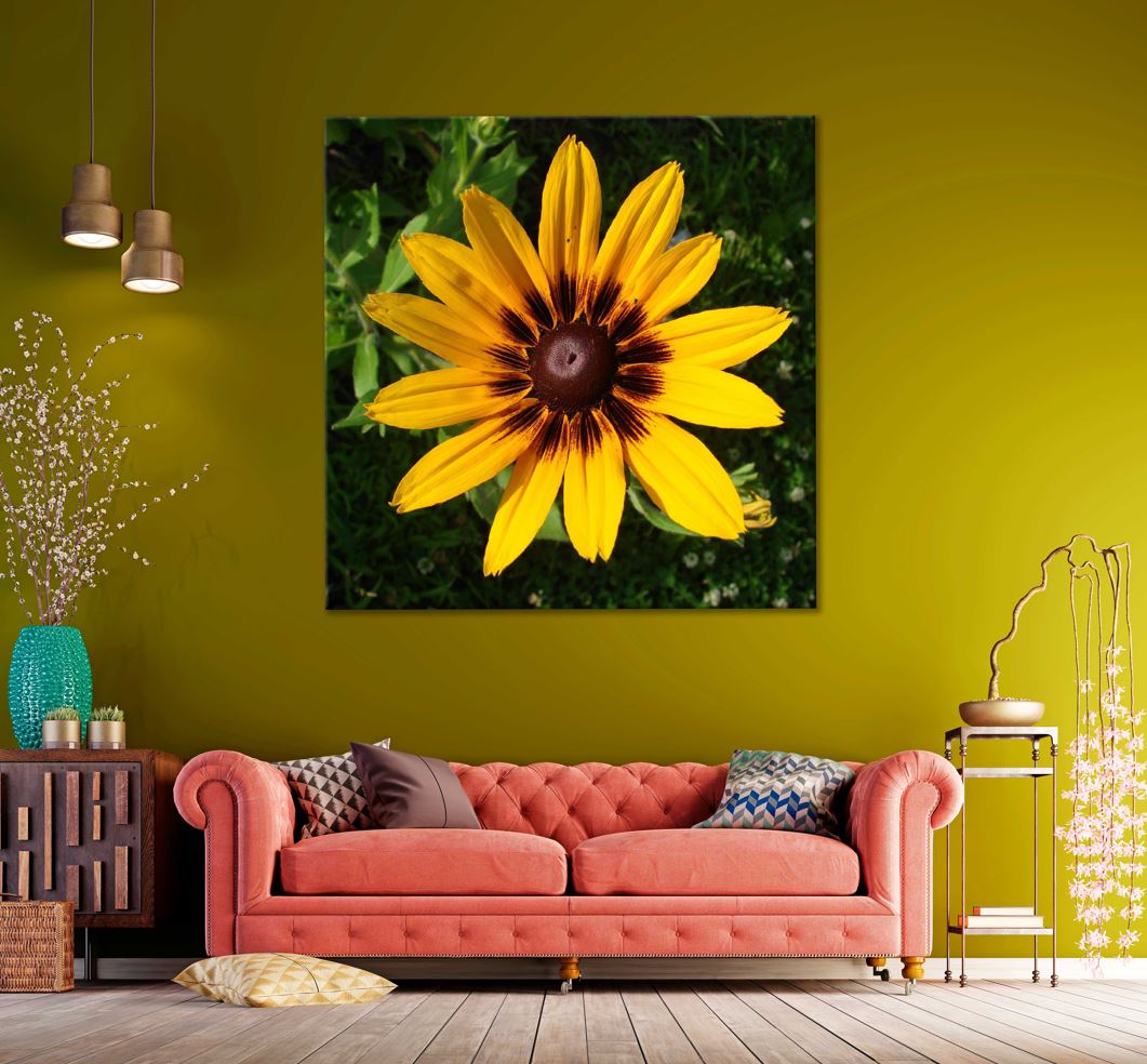 Square Canvas Yellow Rudbeckia Flower View Photograph High Quality Print 100% Australian Made