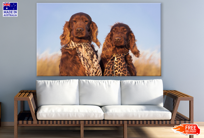 Two Dogs Portrait Scarf Photograph Print 100% Australian Made