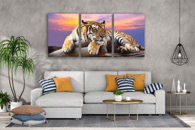 3 Set of Tiger Laying on a Rock Photograph High Quality Print 100% Australian Made Wall Canvas Ready to Hang