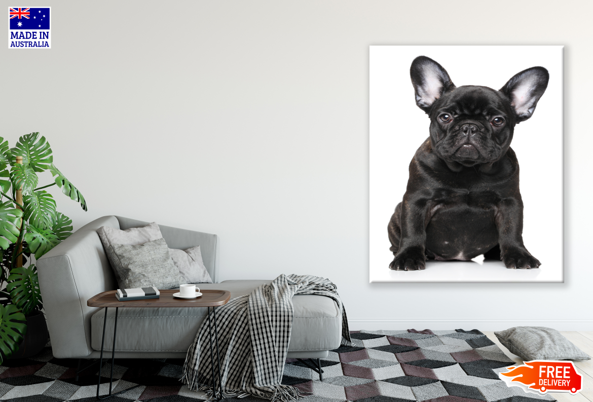 Black Puppy Photograph Print 100% Australian Made