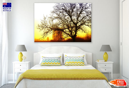 Lone Leafless Tree Sunset Photograph Print 100% Australian Made