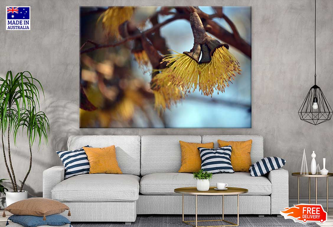 Yellow Blossom Flowers Photograph Print 100% Australian Made