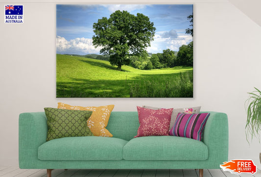 Green Tree on Grass Field Photograph Print 100% Australian Made